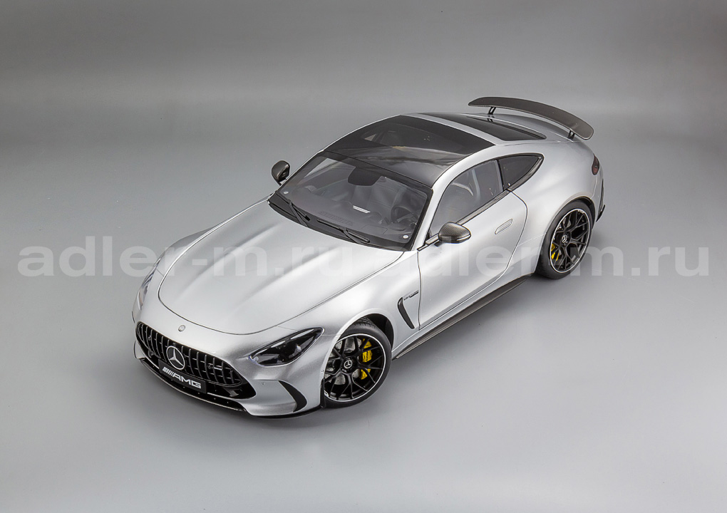 NZG 1:12 Mercedes-AMG GT 63 4MATIC+ (hightech silver) B66960585